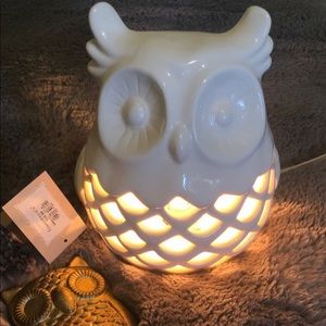 Owl lamp